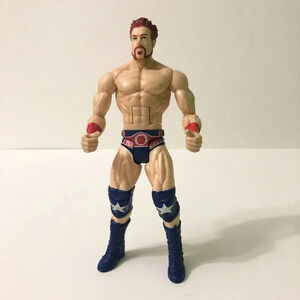 2010  Mattel WWE Wrestling Sheamus Figure WWF WCW